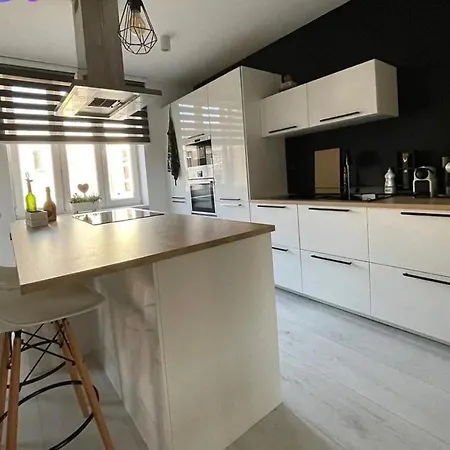 Prostorny V Centru Ostravy Apartment Ostrava