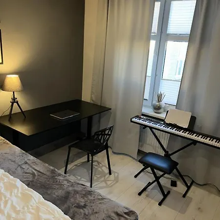 Prostorny V Centru Ostravy Apartment